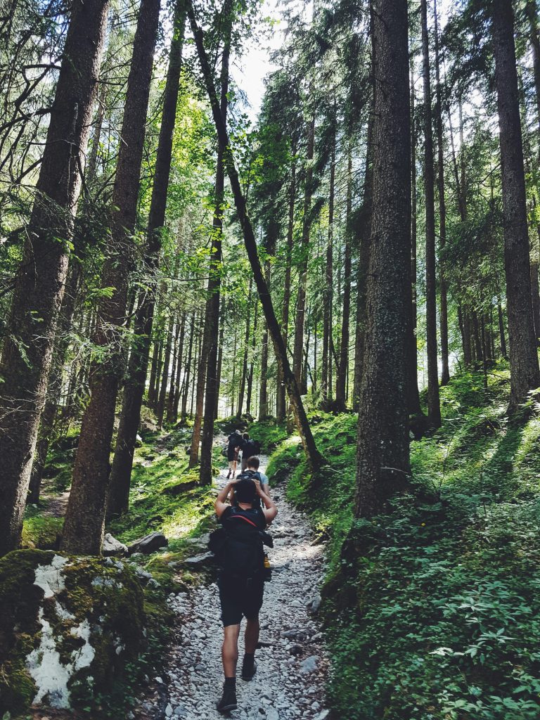 Oliveiras Trail