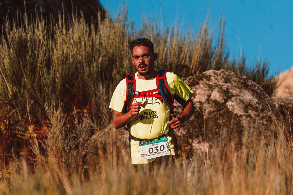 2nd Olive Oil and Honey Route
