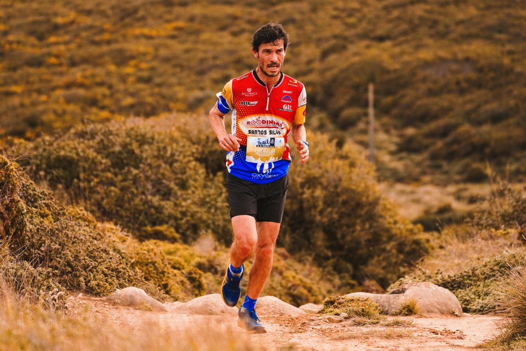 8th Edition Trail Trails of the Forest 2026