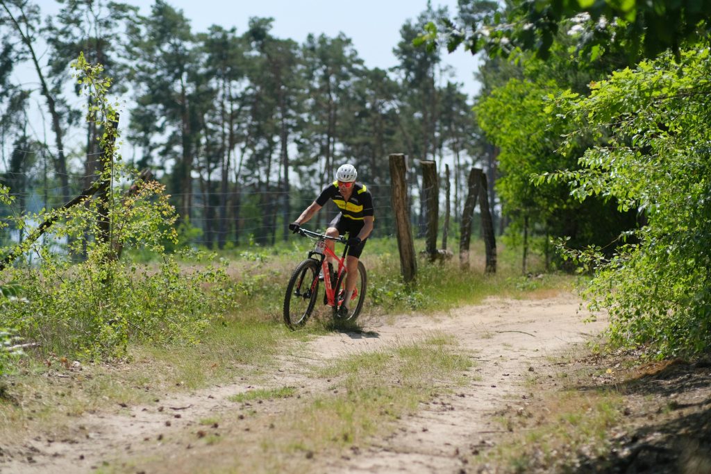 Lafões BTT Route