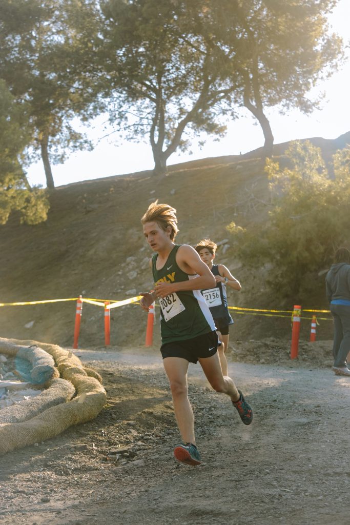 TRAIL OF THE ENCLOSURE